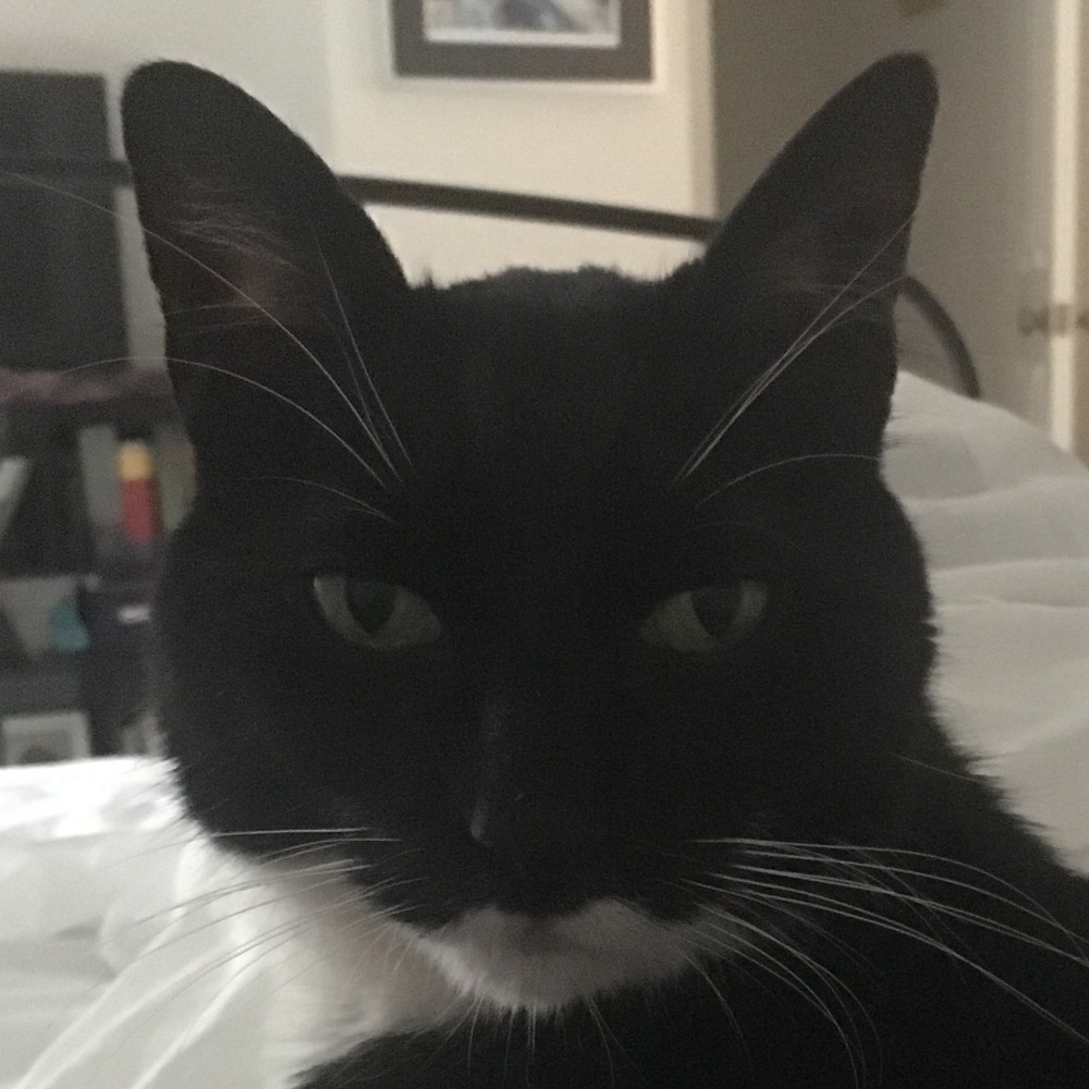 Meet your Posher, Megan